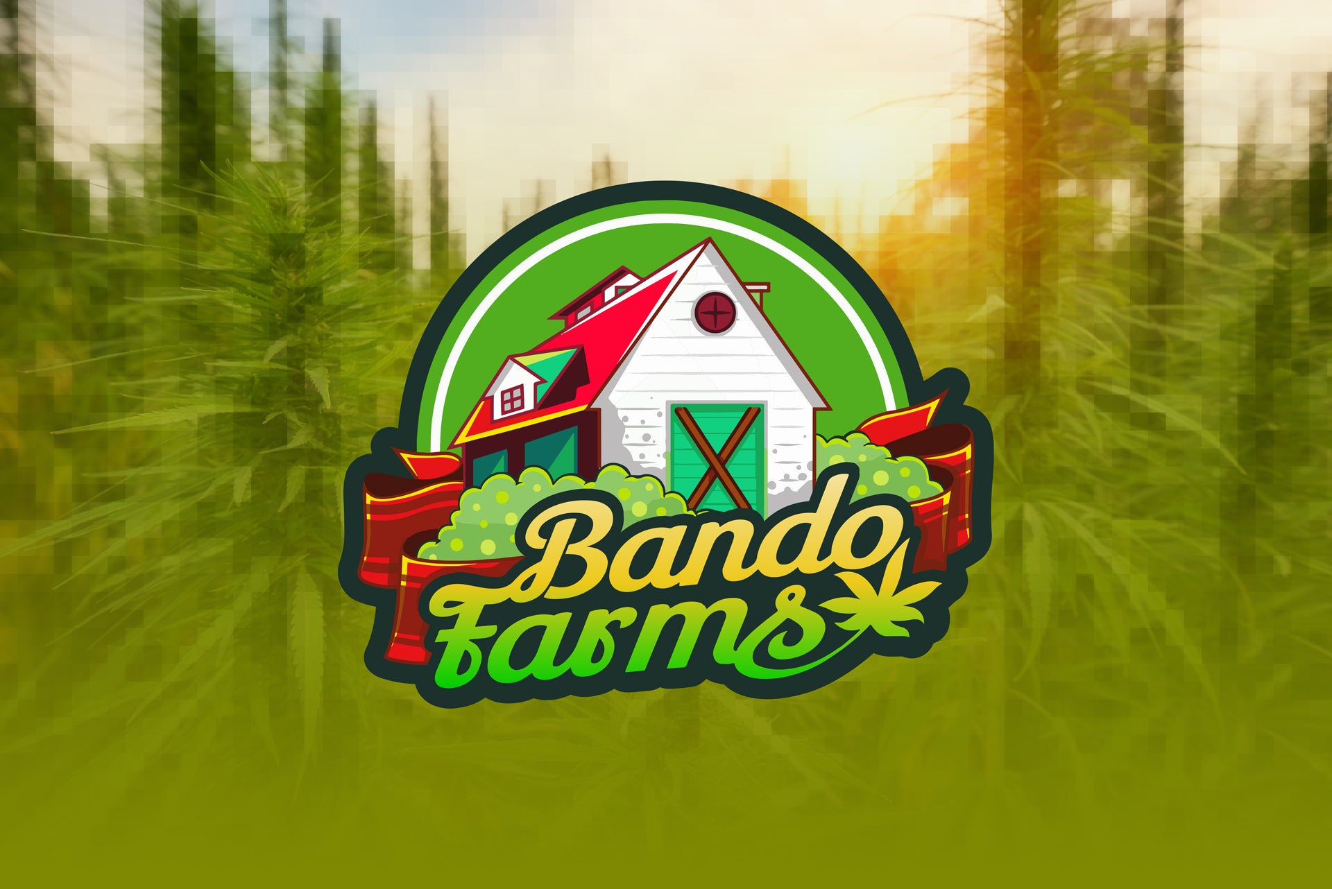 Bando Farms